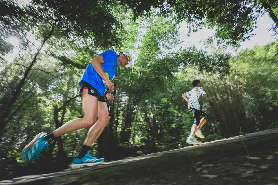 _DSC0319-已增强-降噪