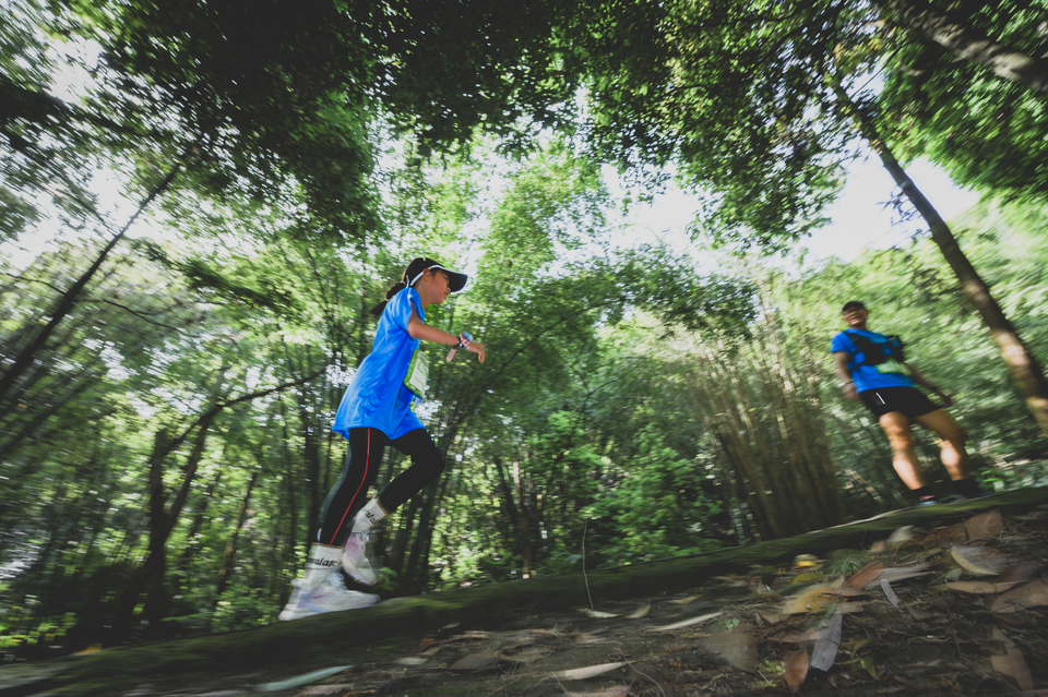 _DSC0325-已增强-降噪