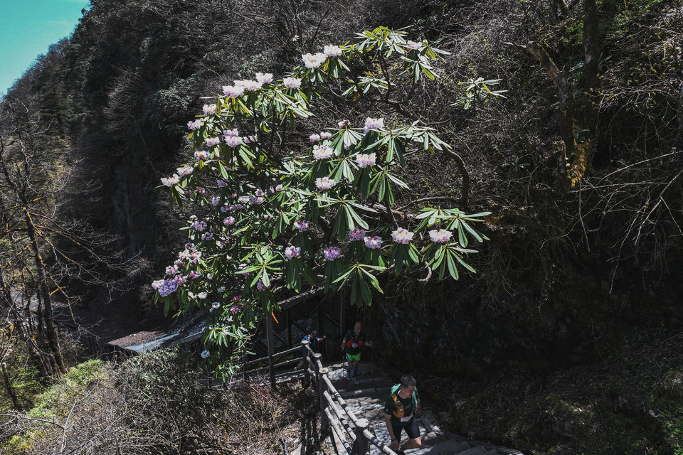 dji_fly_20250419_124018_0069_1745037759129_photo