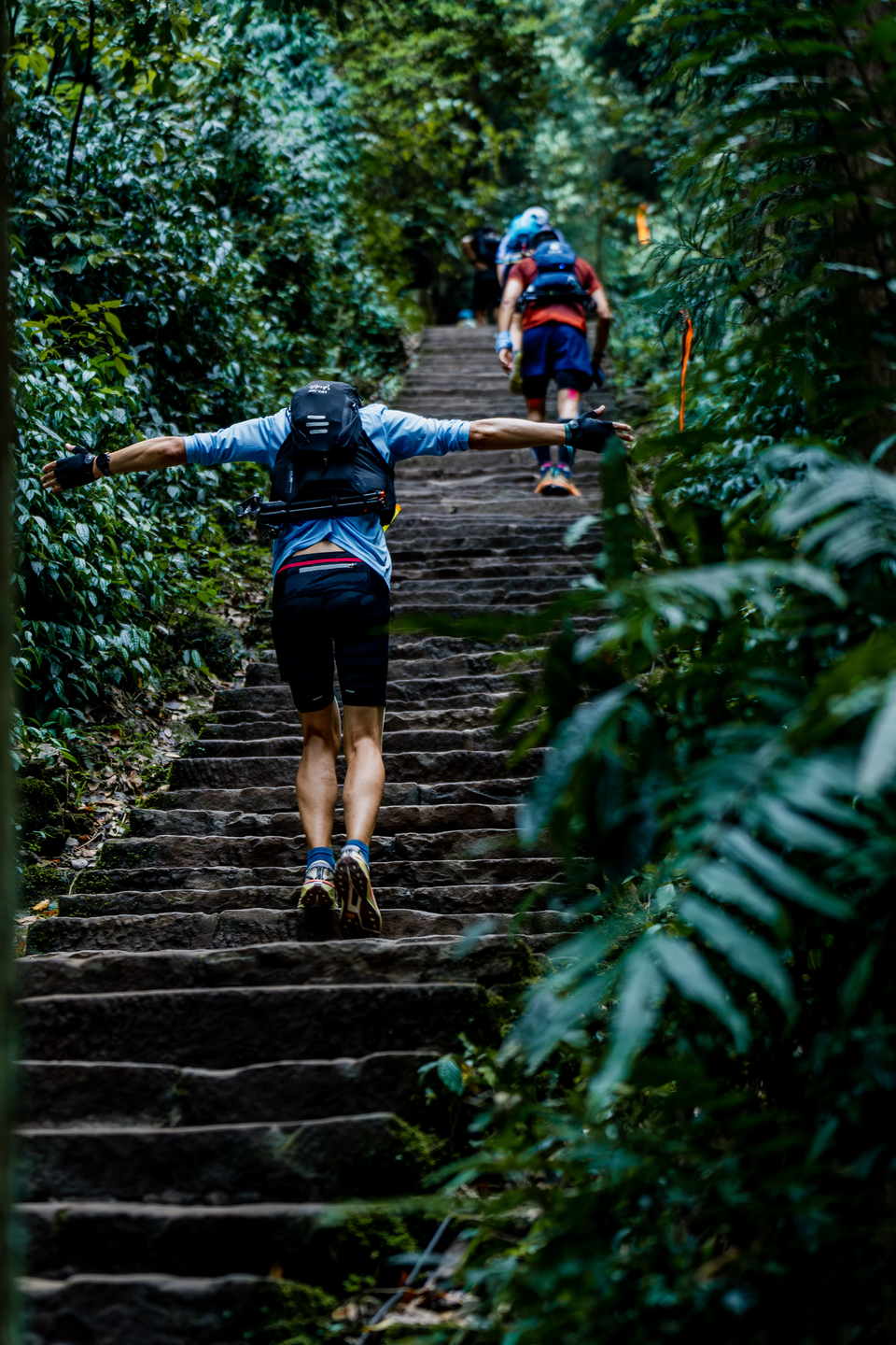 YEQ08867-已增强-降噪