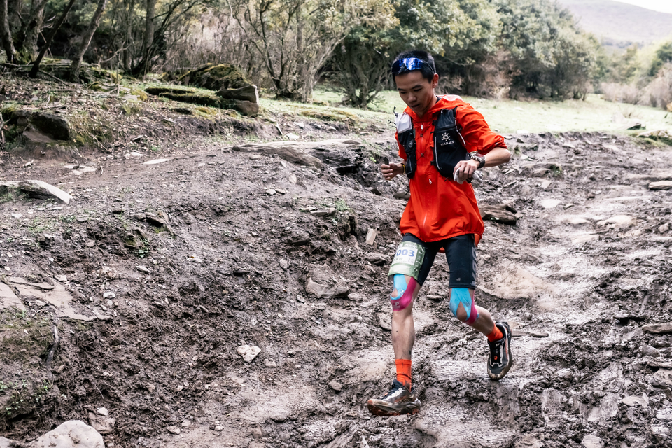 20250526 四姑娘山 云间花径 张雪峰-109