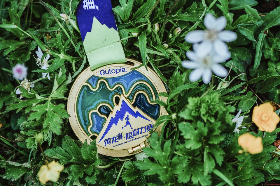 530689c0c645c9be73826858215b542b