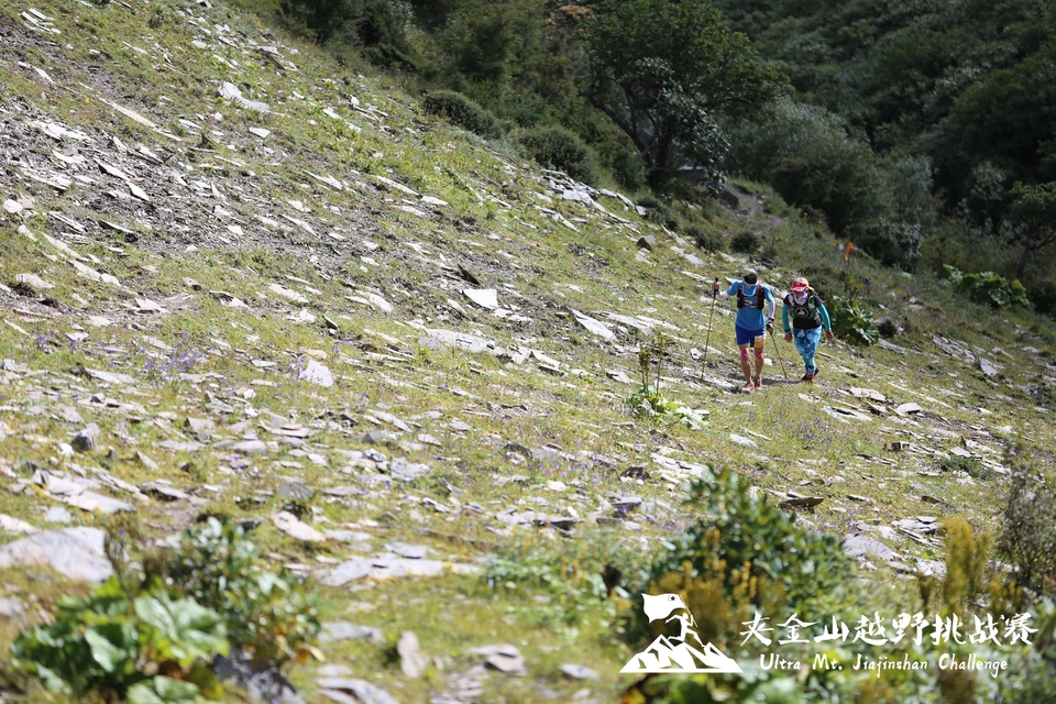 c323c011-b2c1-45c0-ad97-1502146d4f7f