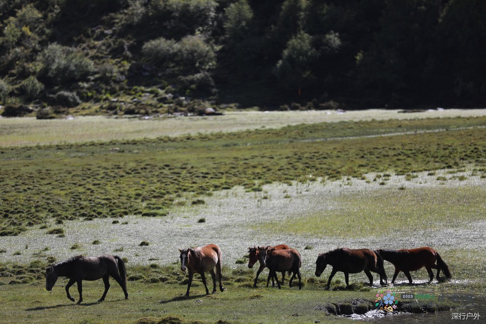 微信图片_20230910144146