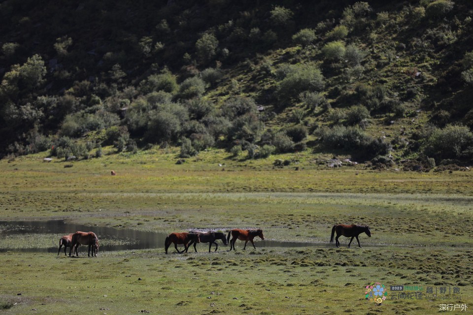 微信图片_20230910204031
