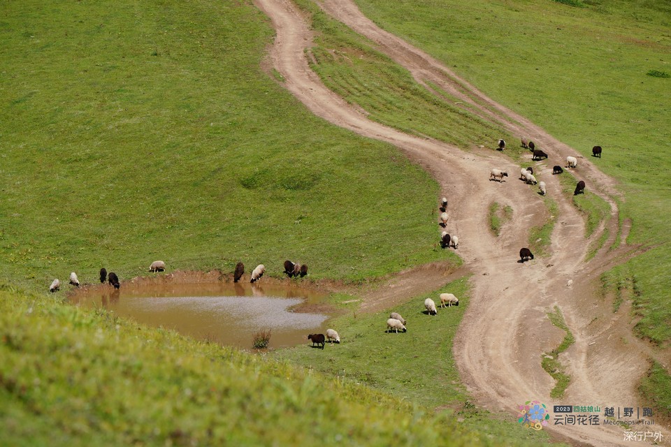 微信图片_20230904205941