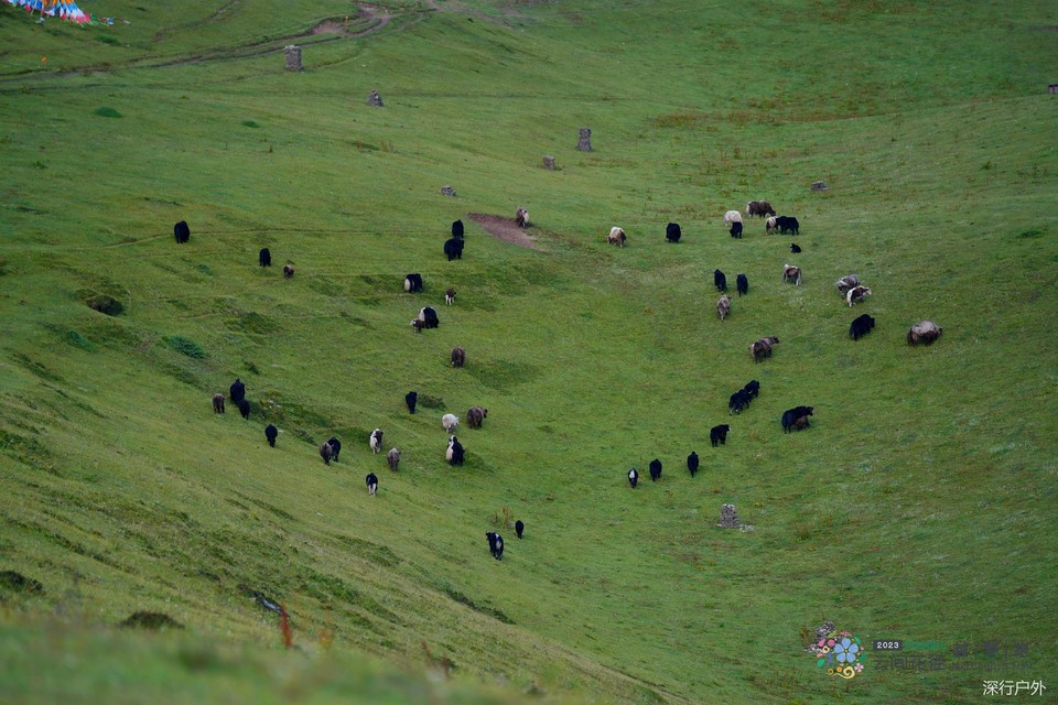 微信图片_20230904210122