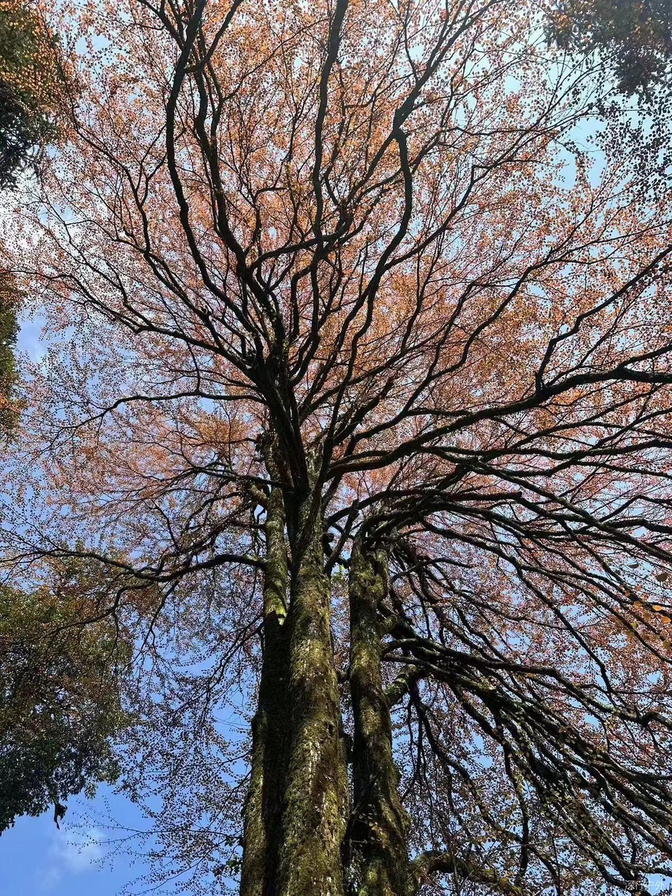 61197ebf5cdcceb00cd396506d42e45