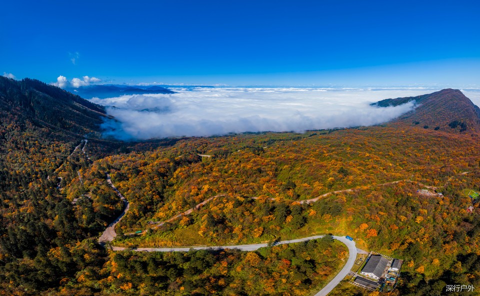 75a22df858df4fca6ba8ccb93d70508