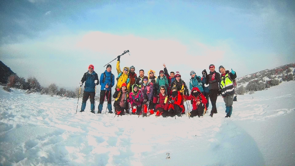 f7936f33618cf2dc0732fa8f6d22c01