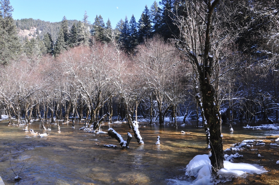 FgzVUn8vO0KU1-wxlp6lZPRQ1OV2