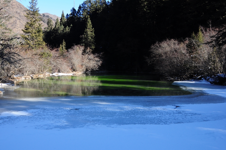 FlJ0Wj0Ej5Amg7D_X4ruGamJPuSg