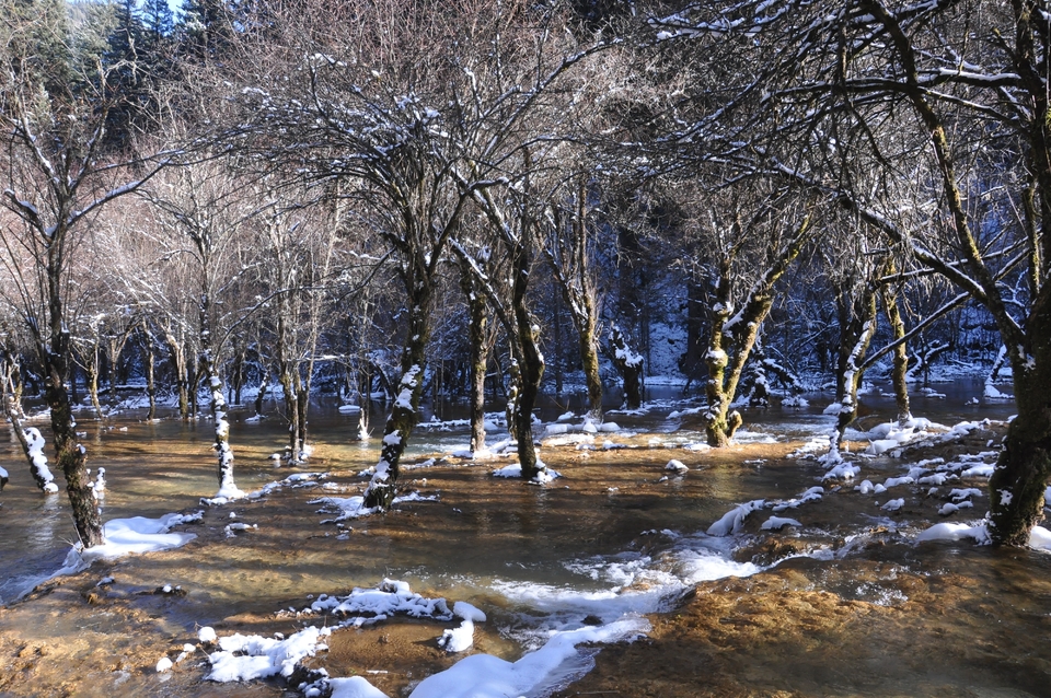 FnBQ-BfrlnPd9ADTgBlRfFJ7Rsda