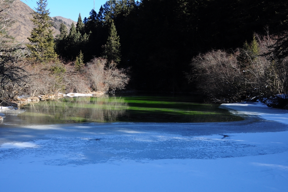 FopfS-4HTrprWLID3SgabCN2QItF