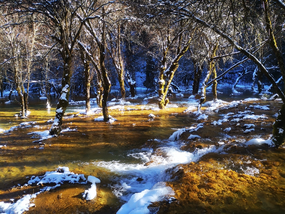 Fu47Tffse6fLZ3HF8L5i2RiXsZyZ