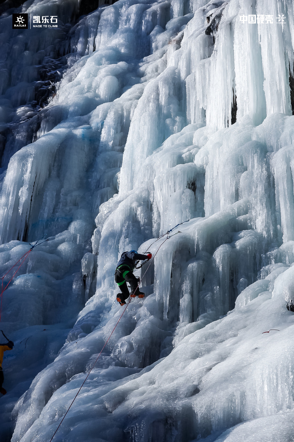 931cc53ec19d53d3df870db79304d03