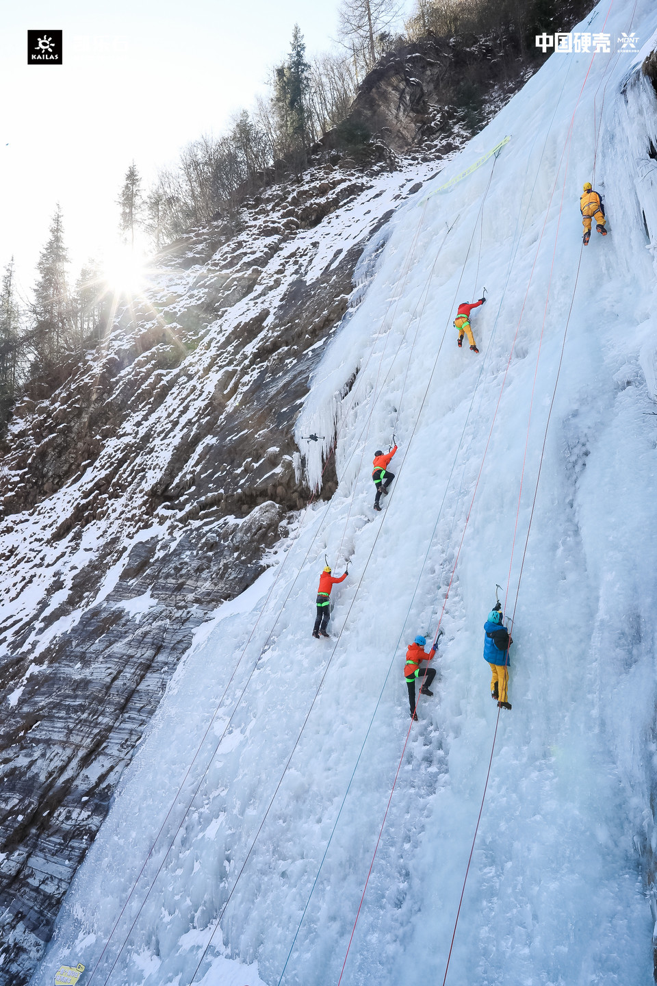 365771e9c045c1cd495bf851fcfde76