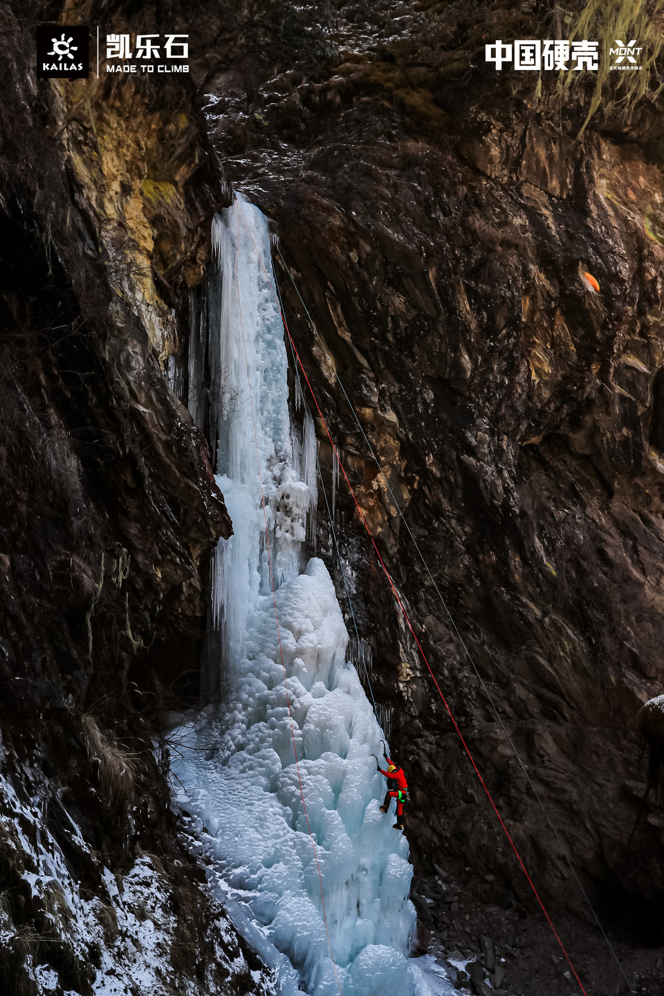 a0137c0c445a25cf4fbcaeca47ced76