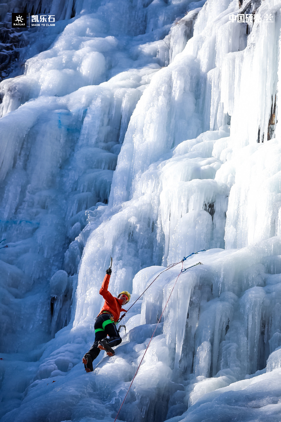 ace11acd64e77c12de25ae21d942dd7