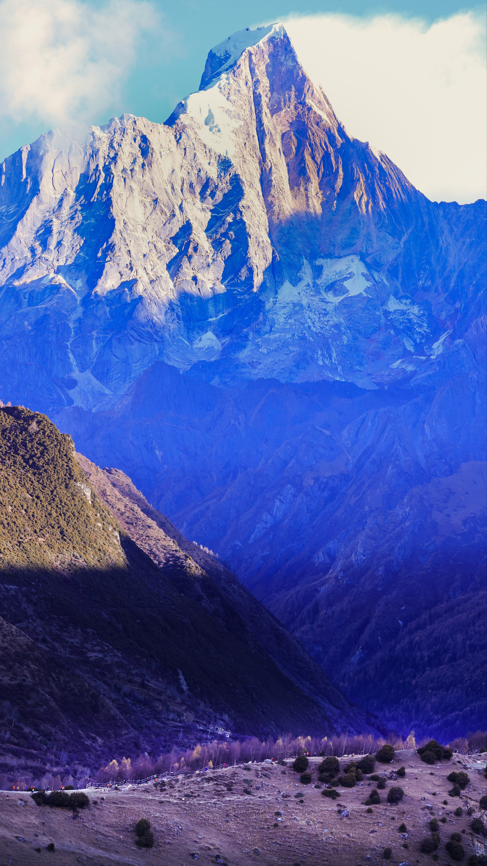 Local_20221112083433_6S3A5676