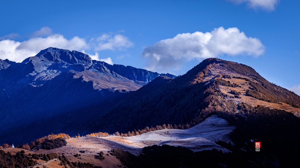 Local_mmexport1668417448770_edit_208152812936467