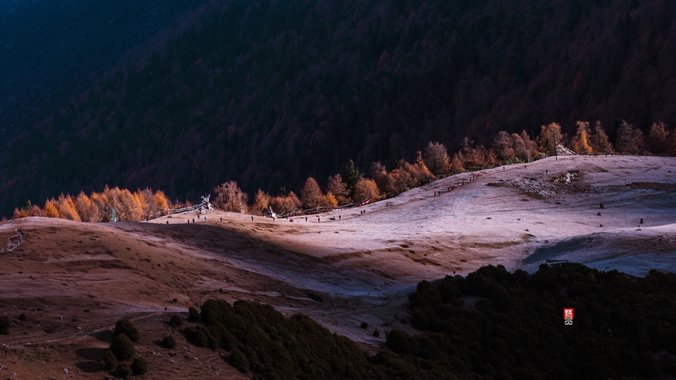 Local_mmexport1668417456039_edit_208143835352614