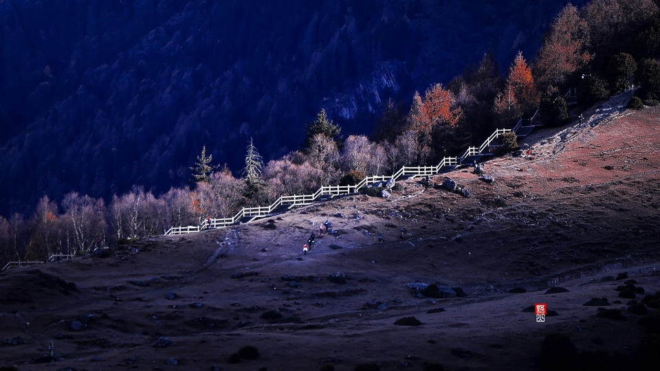 Local_mmexport1668424485693_edit_208070875837000