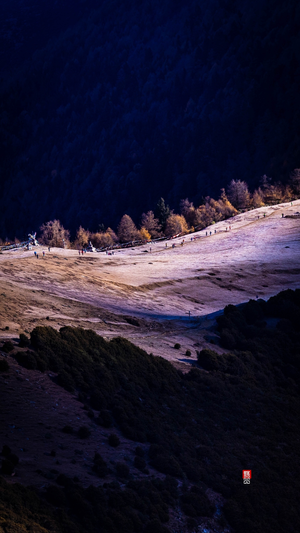 Local_mmexport1668494490874