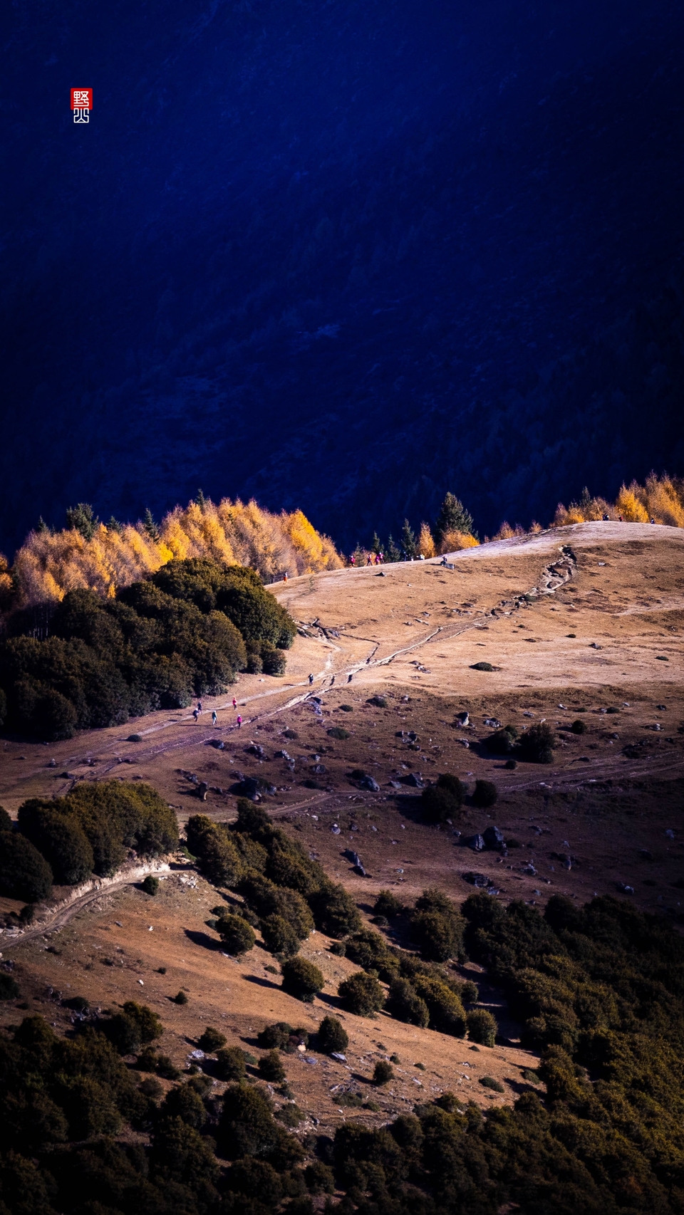 Local_mmexport1668494493868