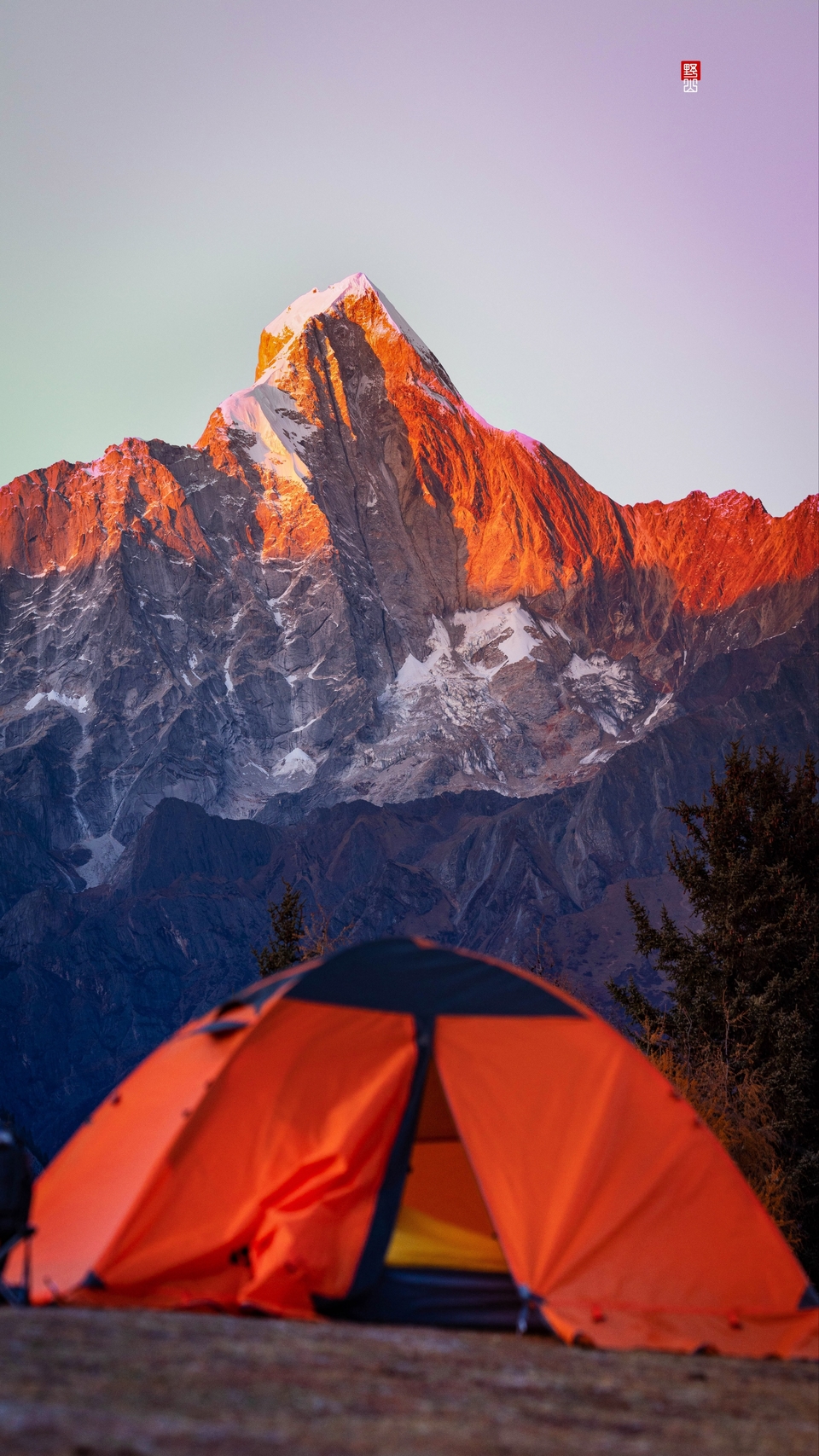 Local_mmexport1668494520877