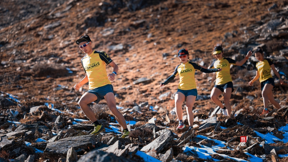 Local_mmexport1668517275372_edit_42865599067416