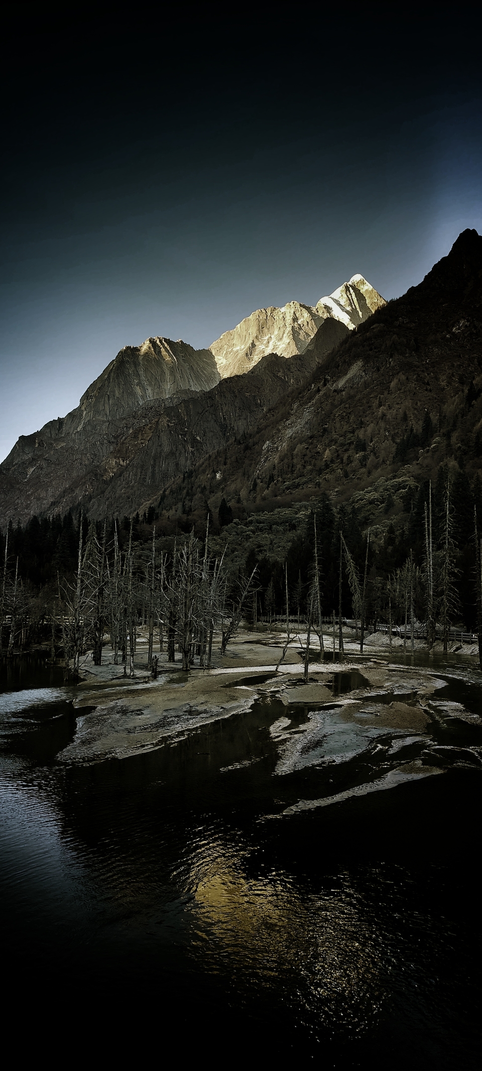 MTgxOTA4MzE2OTYxNjY4NTY5OTQxNjMx