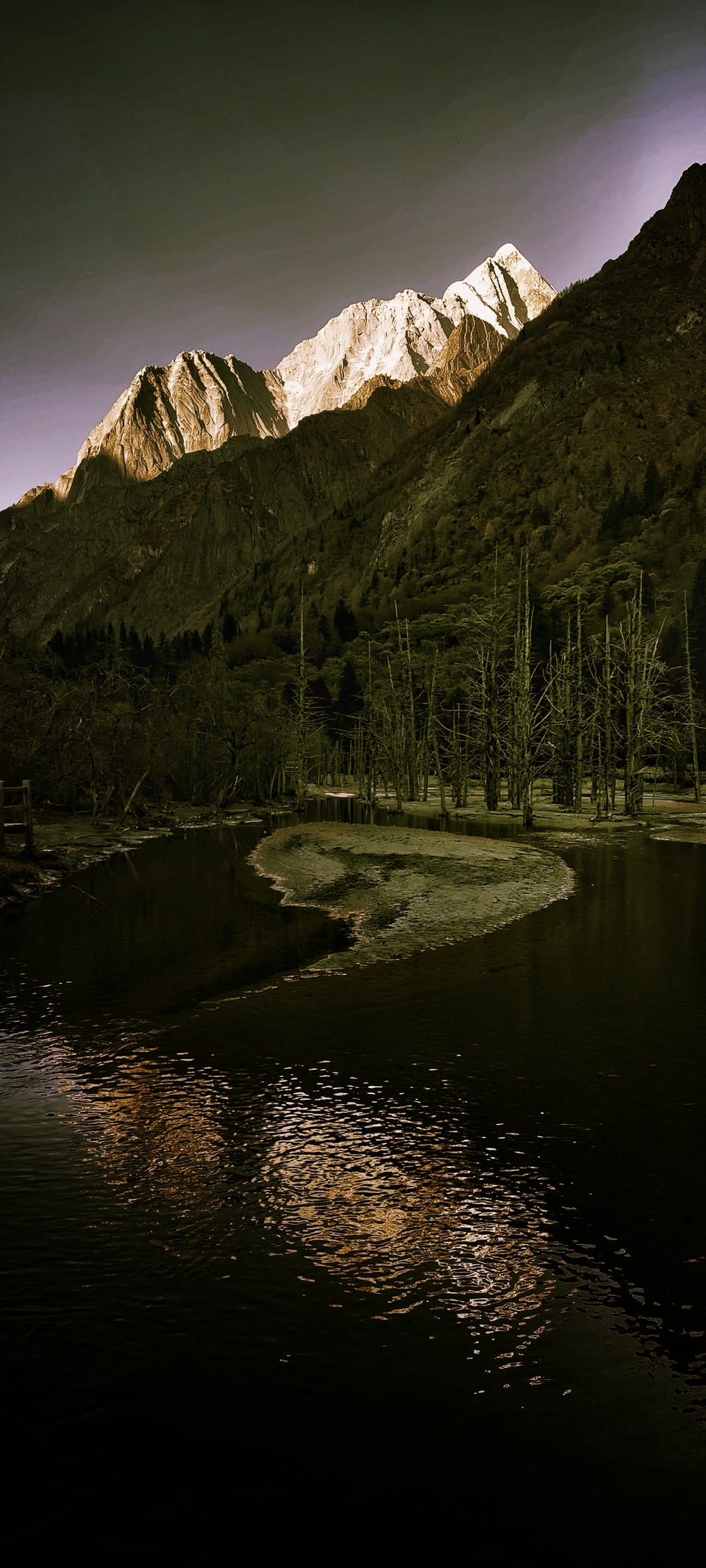 MTgxOTA4MzE2OTYxNjY4NTY5OTQzNzQ3