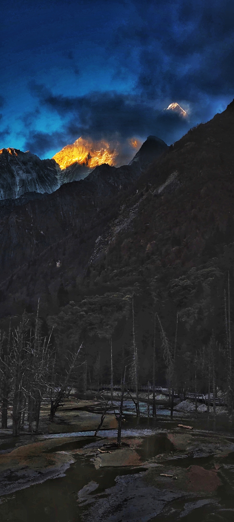 MTgxOTA4MzE2OTYxNjY4NTY5OTU1OTcw