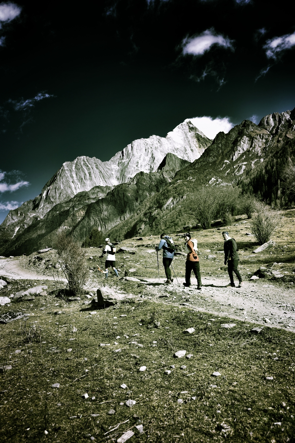 MTgxOTA4MzE2OTYxNjY4NTY5OTUxMDk1