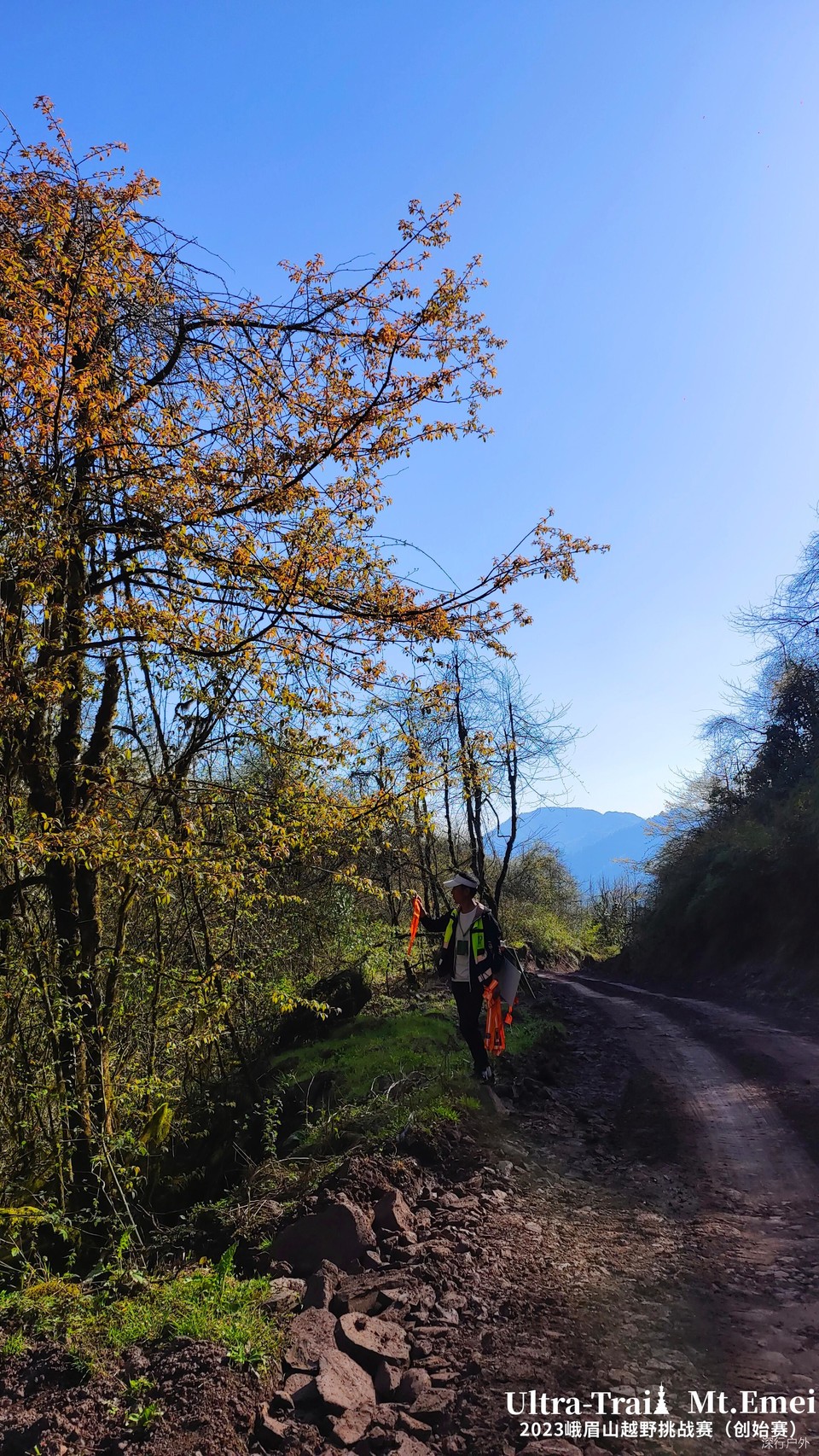 MTgwODA2MTEwNzIxNjgxNjA0OTg5NjQ2