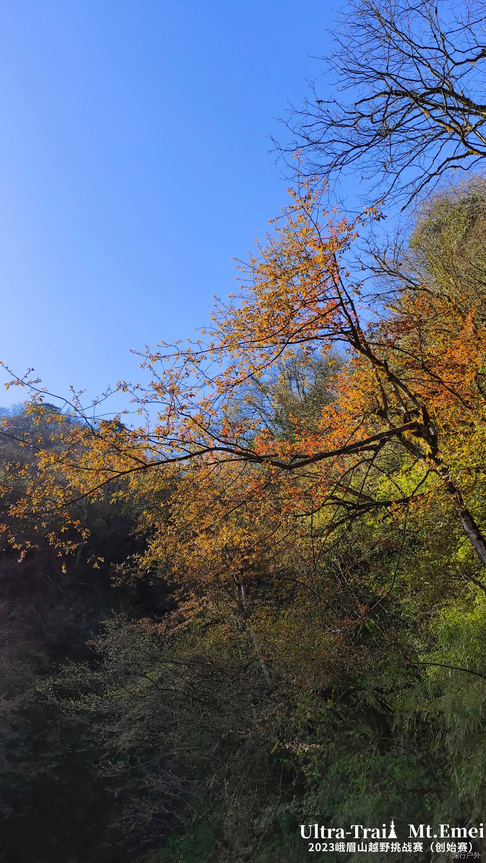 MTgwODA2MTEwNzIxNjgxNjA0OTgyMDYy