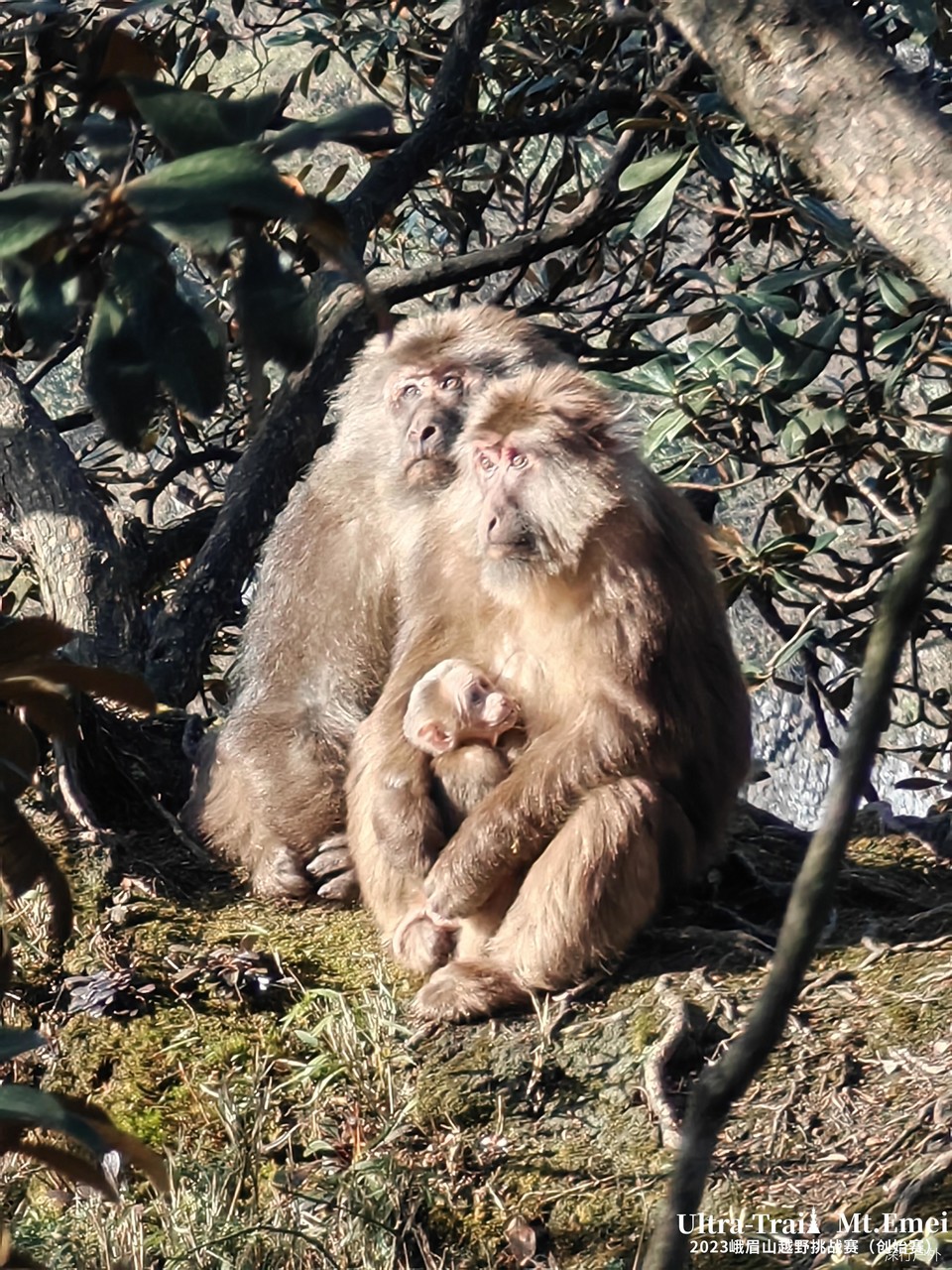 Local_IMG_20230415_081638