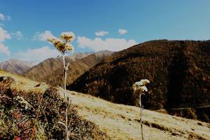 2015凯乐石环四姑娘山超级越野跑赛事宣传片