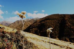 2015凯乐石环四姑娘山超级越野跑