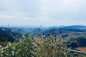 与山相约，兔飞稳进