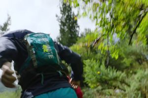 云端的山语—鲜花盛开的森林是乐园