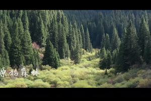 2020黄龙极限耐力赛纪录片