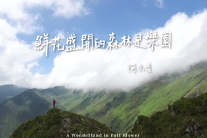 四姑娘山记录短片《云端的山语》第三集《鲜花盛开的森林是乐园》