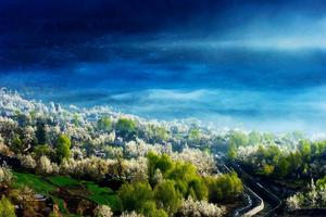 会员专属报名通道|2020金川梨花越野跑