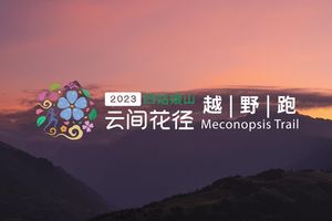 2023云间花径|我们与美的距离