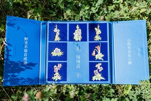 高山绿神 绿绒蒿冰箱贴精美套装