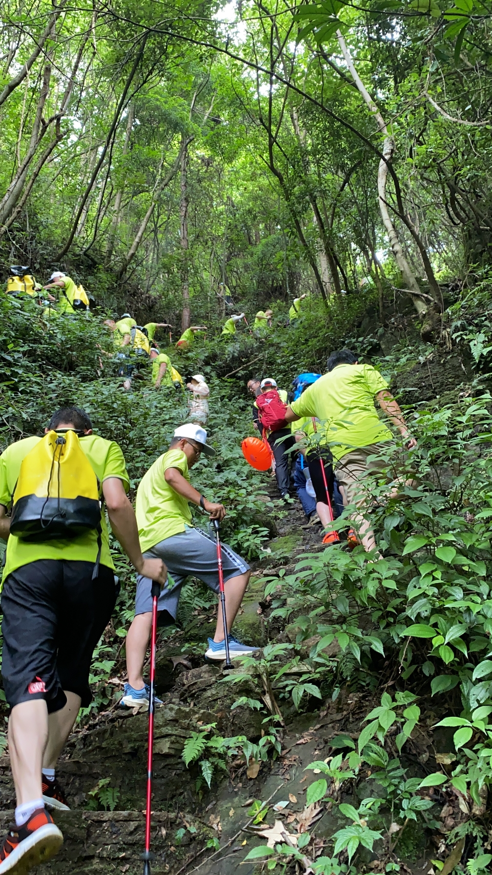 001d73605d48161d996f2844bc8934b