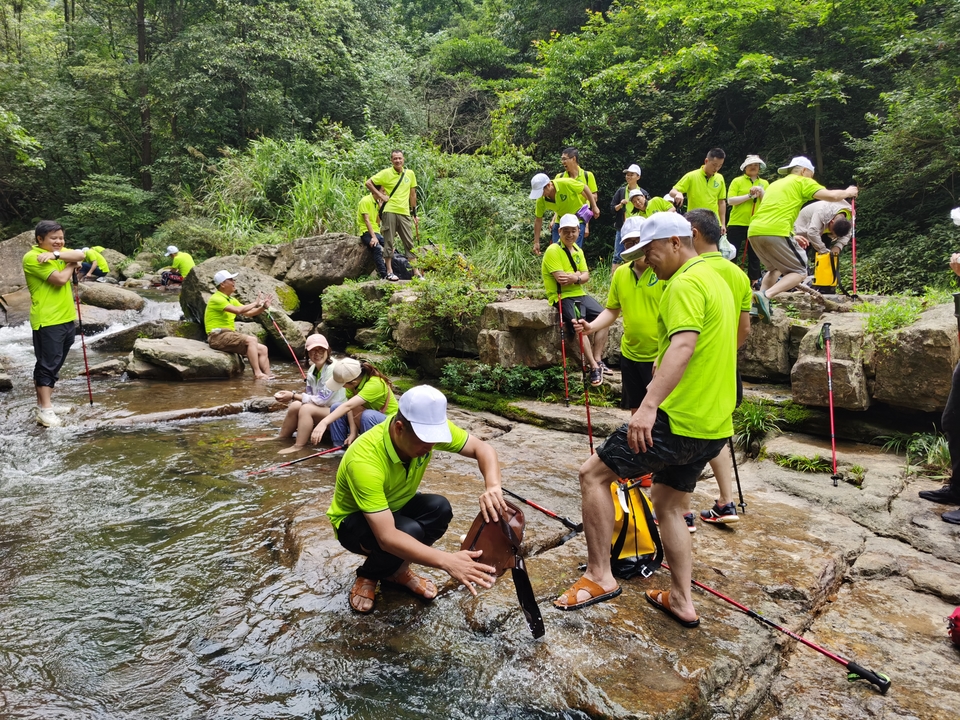 15e2fb74293d0e5a94974248b2b74c0