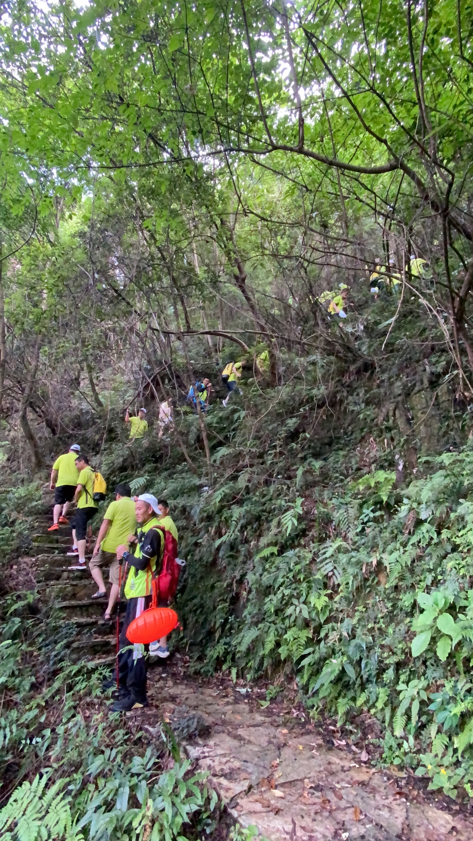 f84266c767d206a2a603d7364b4e2e7